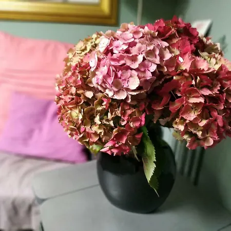 בית אירוח Chez Anne Fécamp